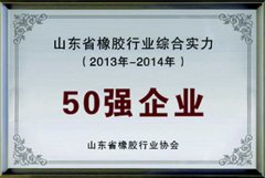 行業綜合實力證書